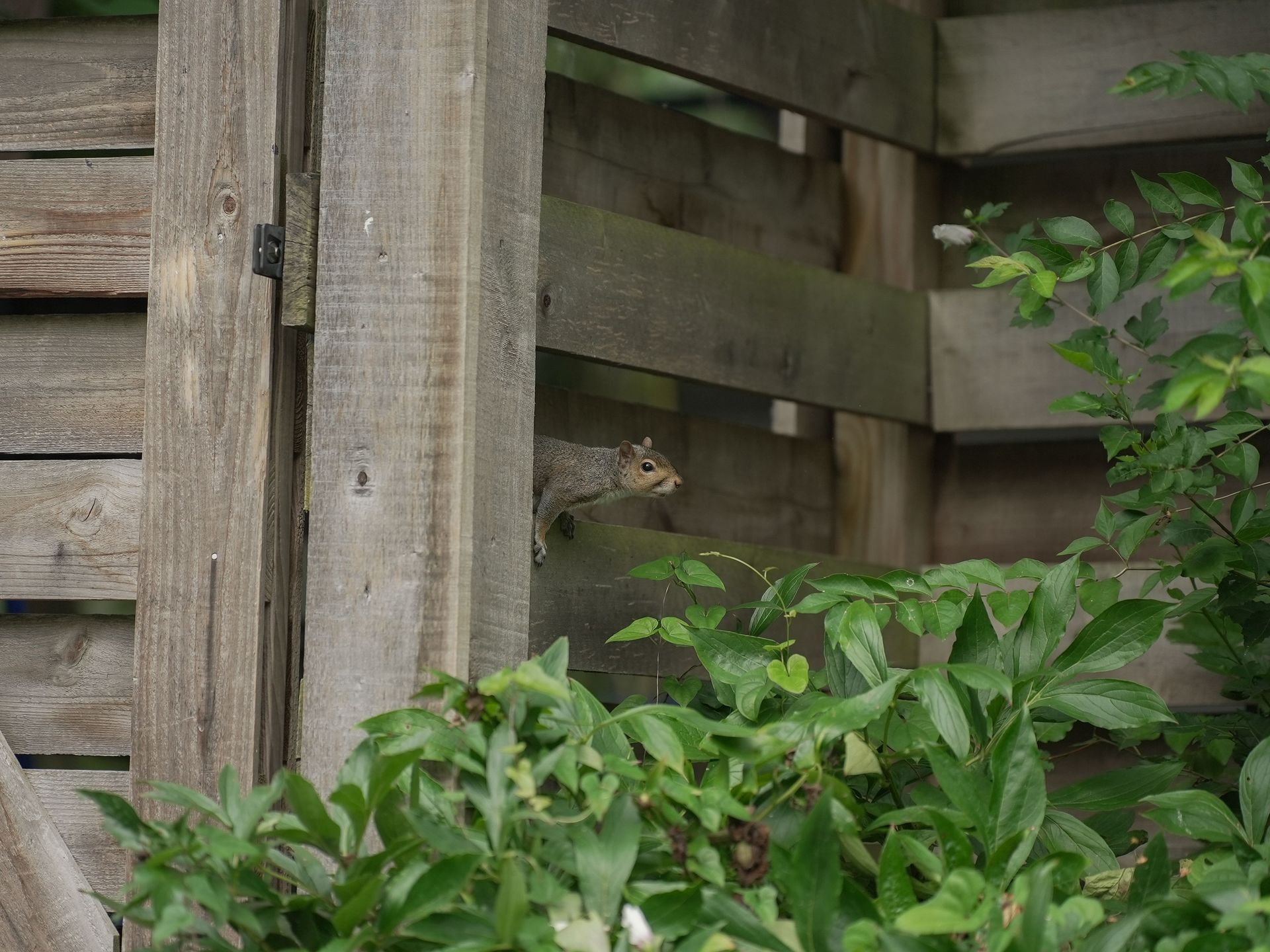 2 members of the Old Growth team smiling while standing next to each other