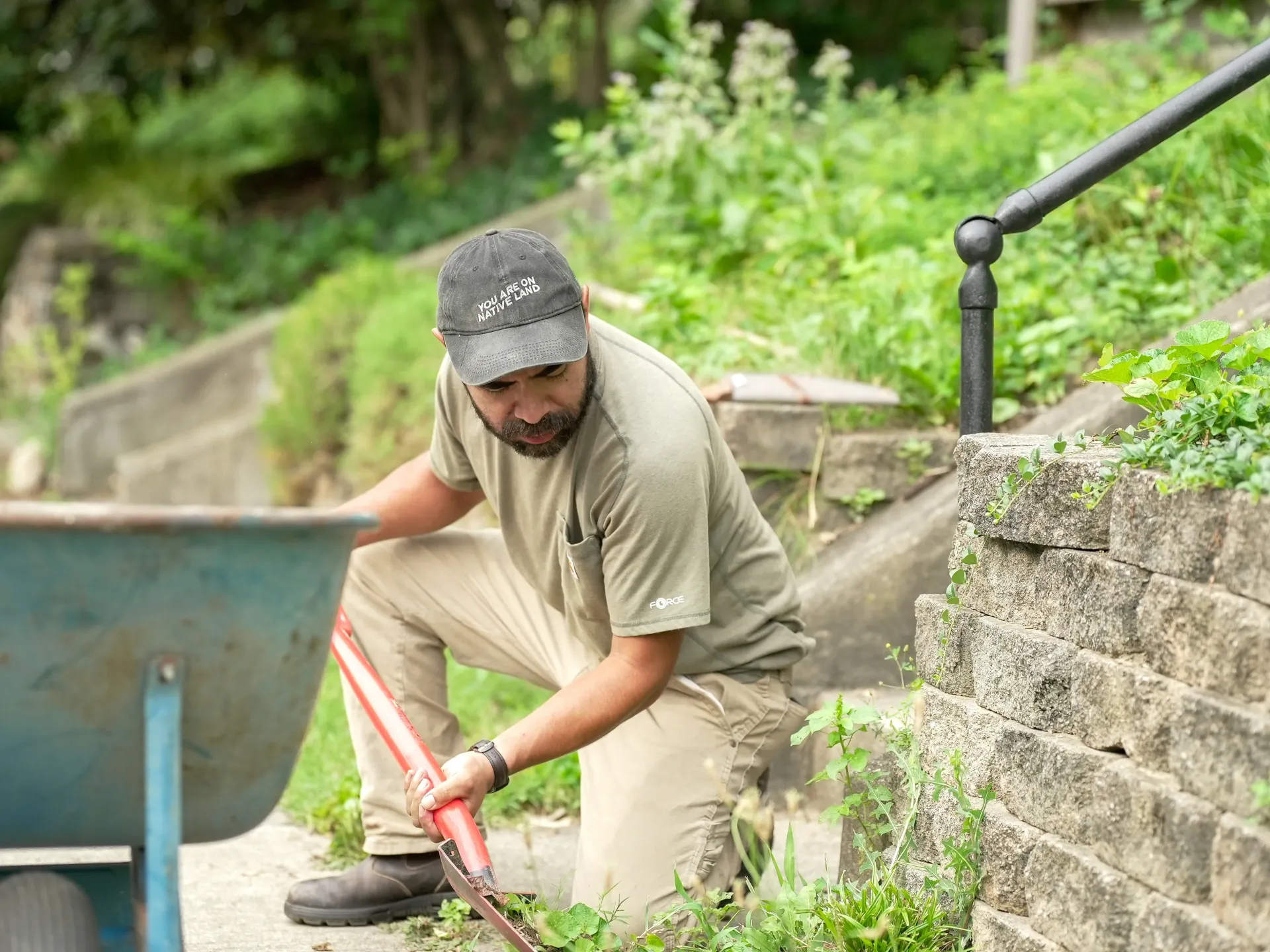 Old Growth team member squatting in front of a retaining wall, tending to a curbside garden