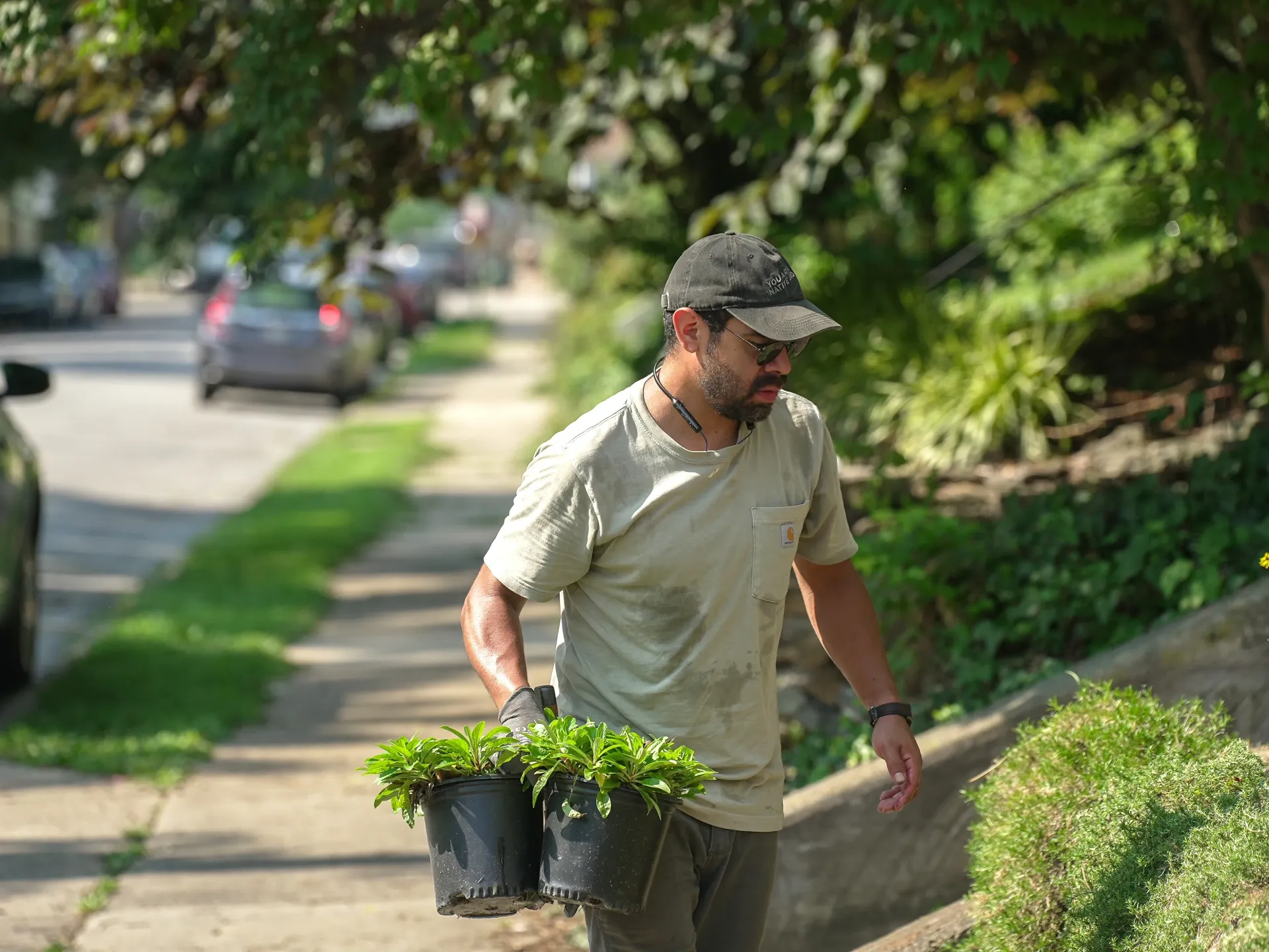 Landscaper carrying 2 potted plants in his right hand