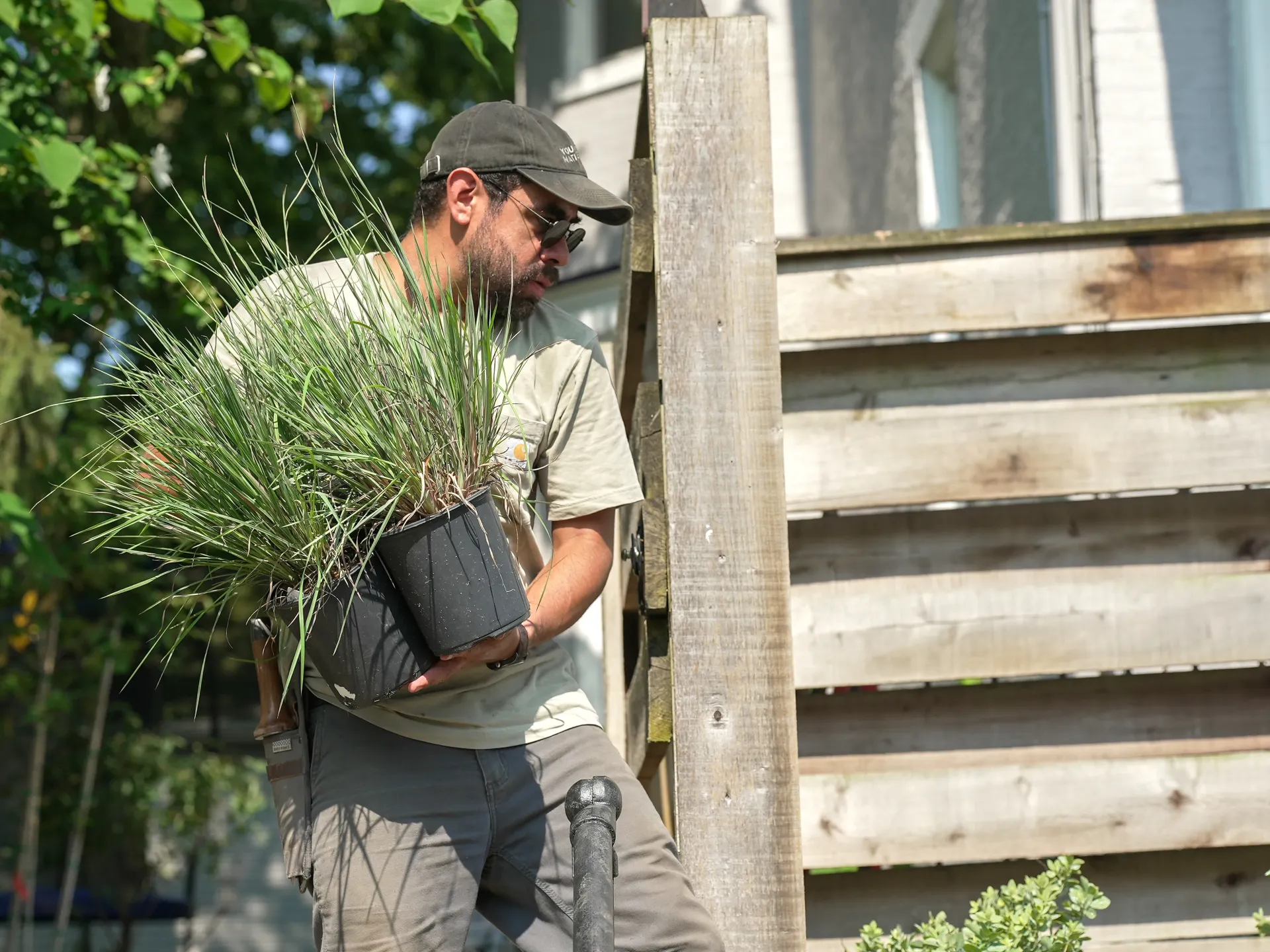 An Old Growth team member carrying a medium-sized potted plant