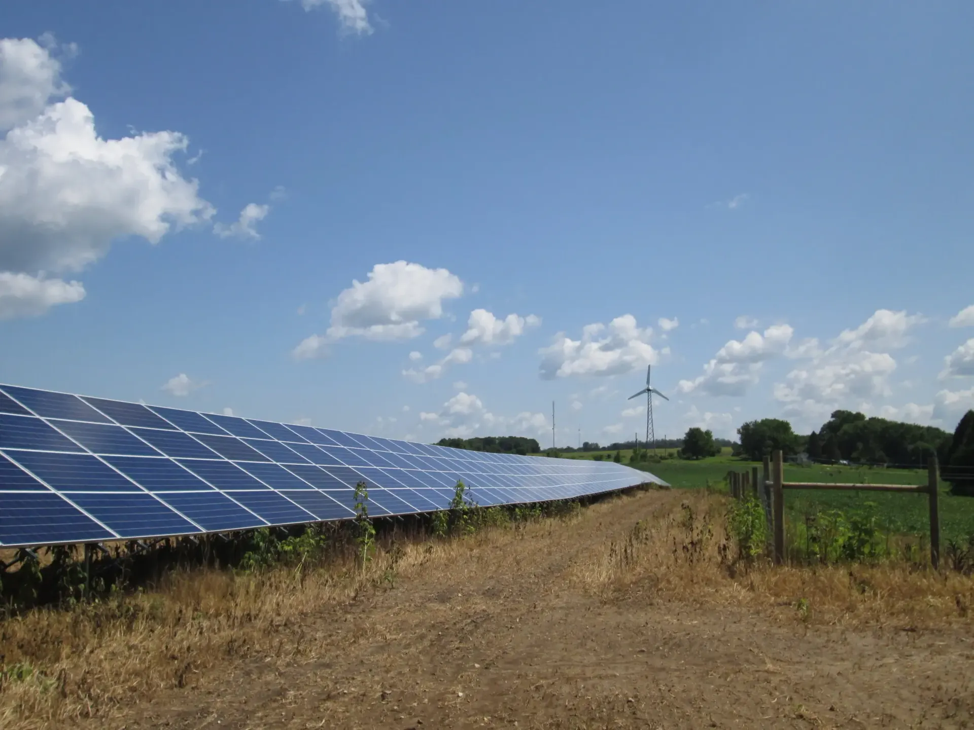 Yellow-green field with solar panels covering the left half of the picture