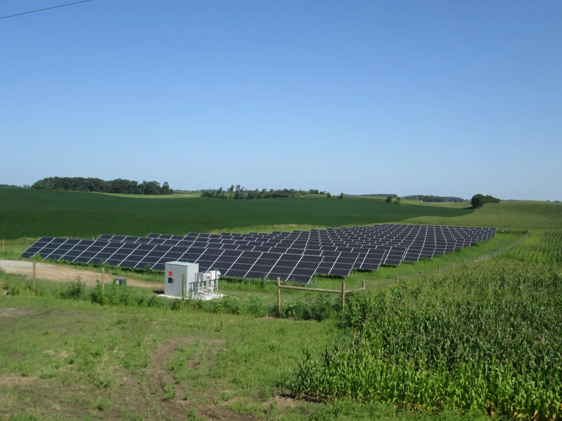 Hundreds of solar panels in a field