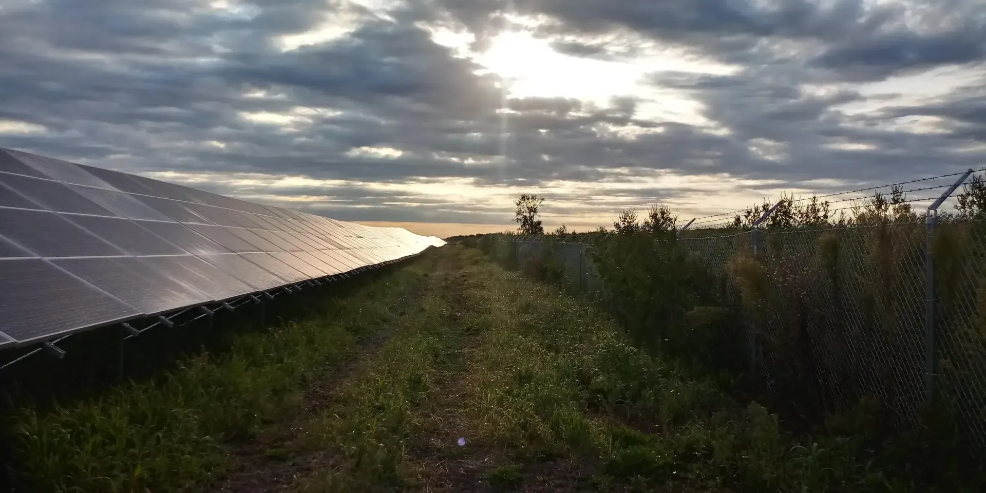 Photo of a green field with the left half of the picture covered in solar panels